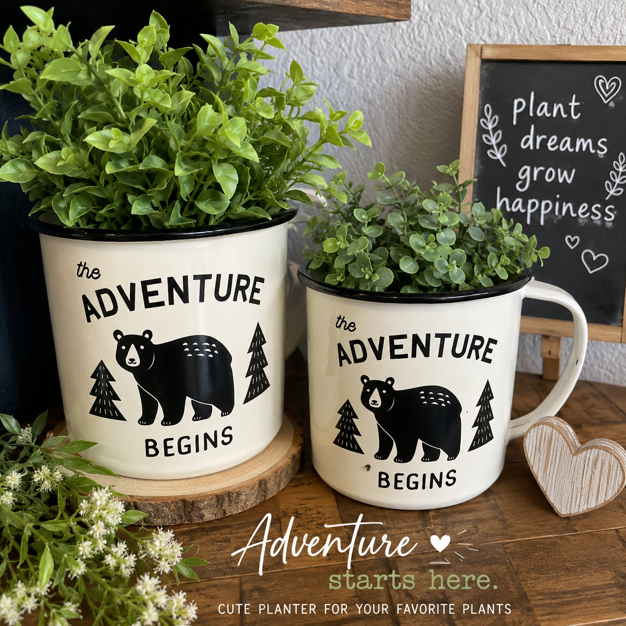 🌿🐻 Adventure begins here!